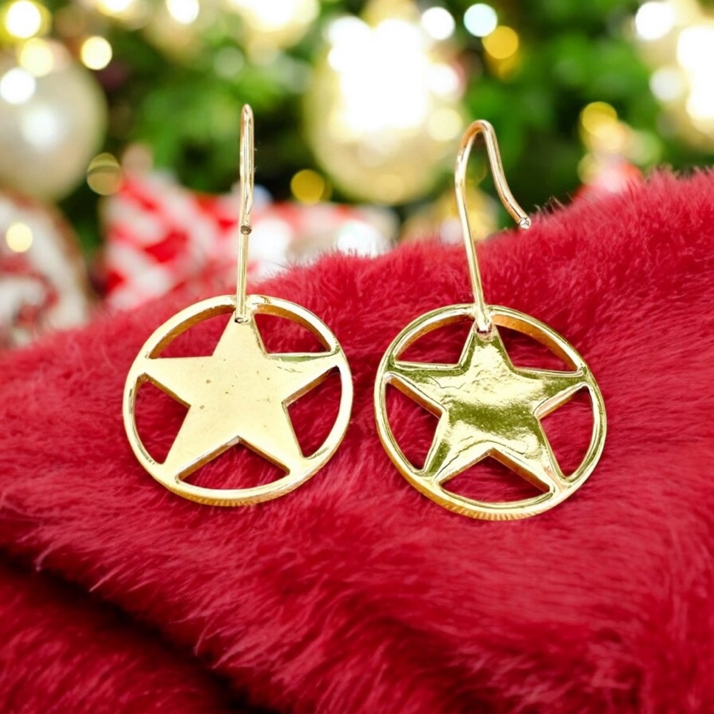 Dior Star Earrings - Picture 4 of 4